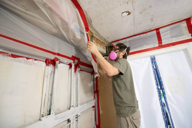 Best Comprehensive Air Testing for Mold Contaminants  in Hebron, IN
