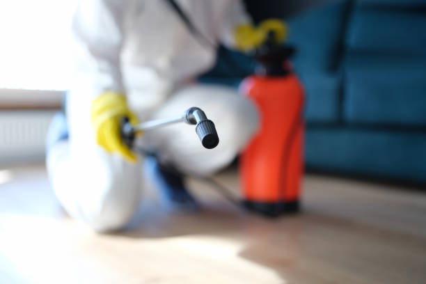Best Asbestos and Lead Testing During Mold Inspection  in Hebron, IN