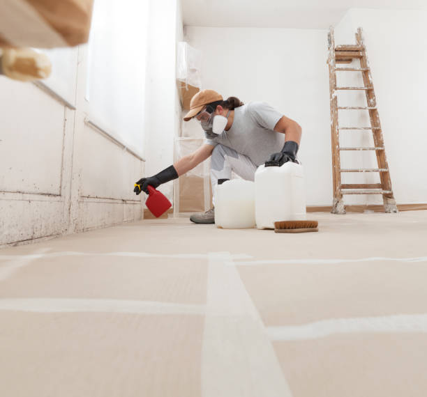 Best Commercial Mold Inspection  in Hebron, IN