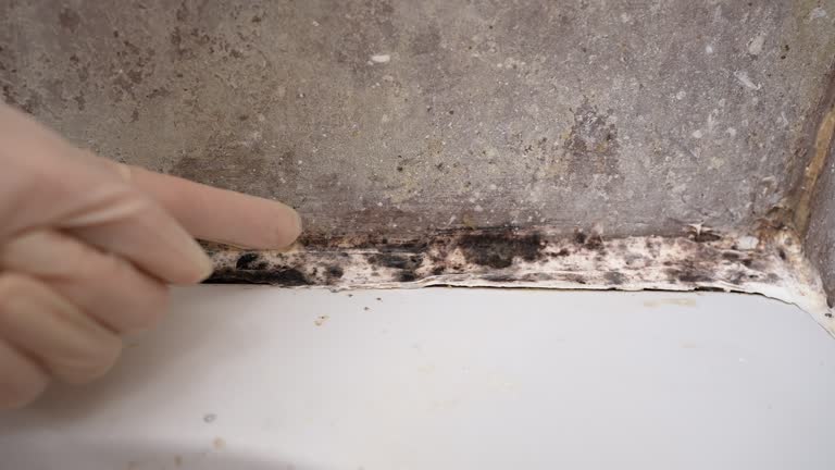 Best Mold Remediation for Healthcare Facilities  in Hebron, IN