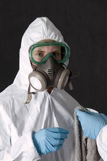 Best Mold Odor Removal Services  in Hebron, IN